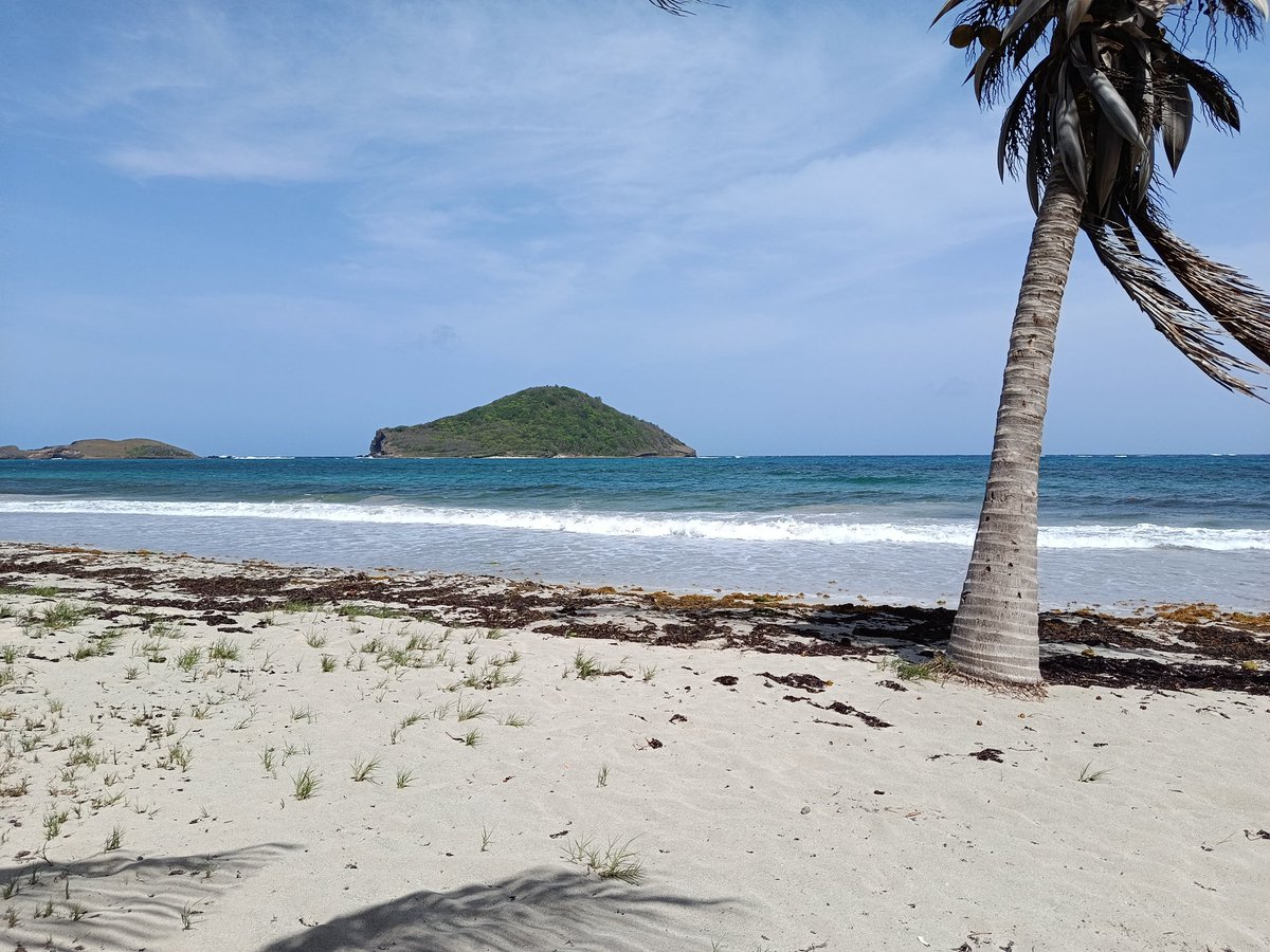 Lalogarvic's tweet photo. Saint Lucia 🇱🇨 https://t.co/nLMhkMJZjr