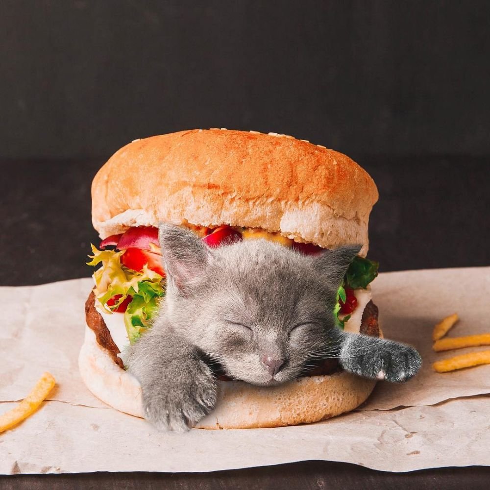 munstiezza tweet media