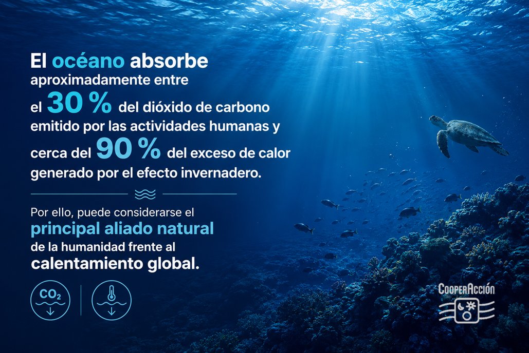 CooperAccionPER's tweet photo. 🌊 En el marco del Día Mundial de los Océanos, recordamos que estos ecosistemas constituyen el bioma más grande e importante del planeta y son esenciales para la vida y el desarrollo sostenible. https://t.co/h3Unc03d9e