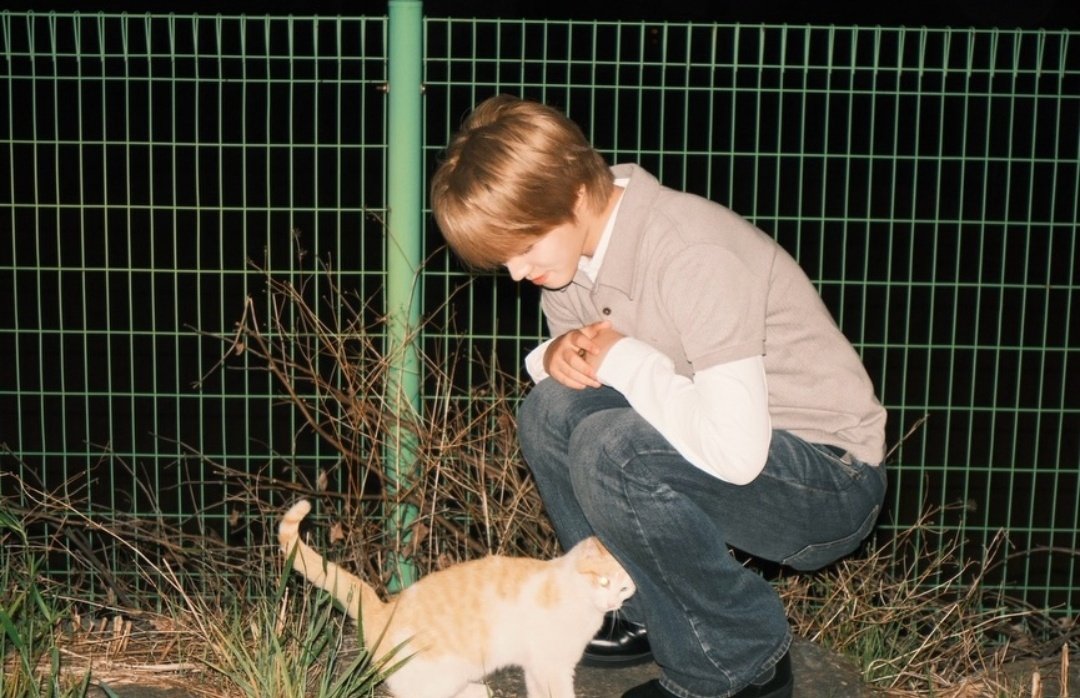 ju_uwon's tweet photo. two cats looking at each other 😭😭😭😭😭😭😭😭😭😭😭😭😭😭😭😭😭😭😭😭 https://t.co/qUfH75Rmpc