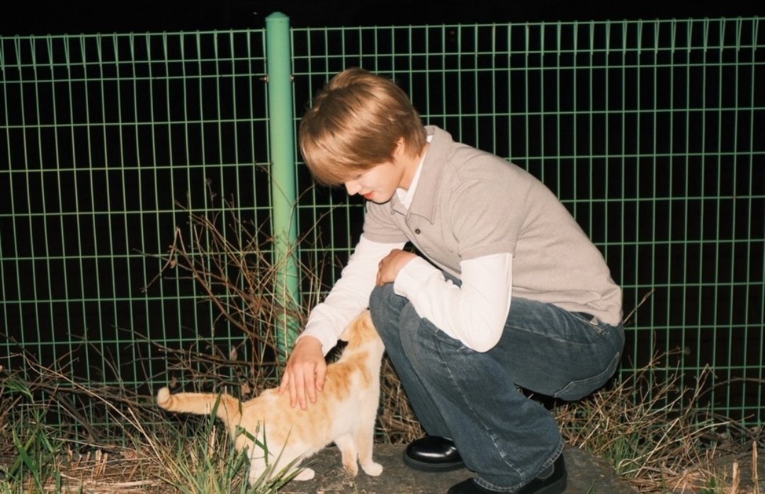 ju_uwon's tweet photo. two cats looking at each other 😭😭😭😭😭😭😭😭😭😭😭😭😭😭😭😭😭😭😭😭 https://t.co/qUfH75Rmpc