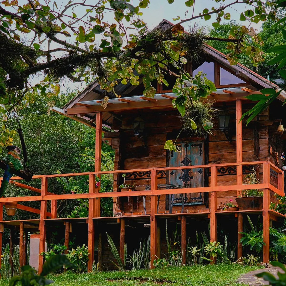 MarichMG's tweet photo. @tisanaduIce También las zonas rurales en México se ven así, en los pueblos hay mucha abundancia! https://t.co/cKjvPPHlmp