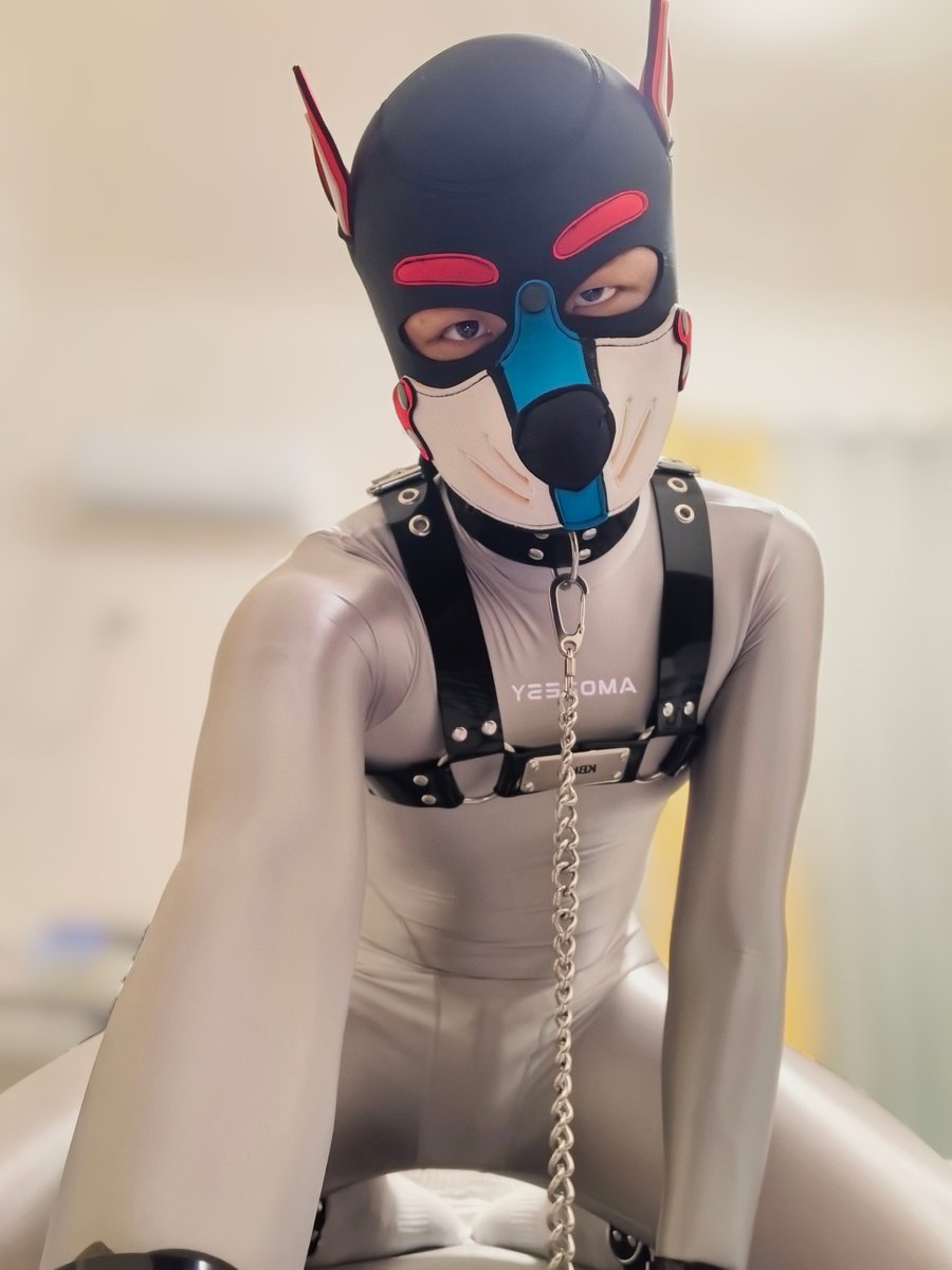 xccbb04's tweet photo. 会被抓走吗？ʕ•͈⚇•͈ʔ https://t.co/xhc4EH68sb