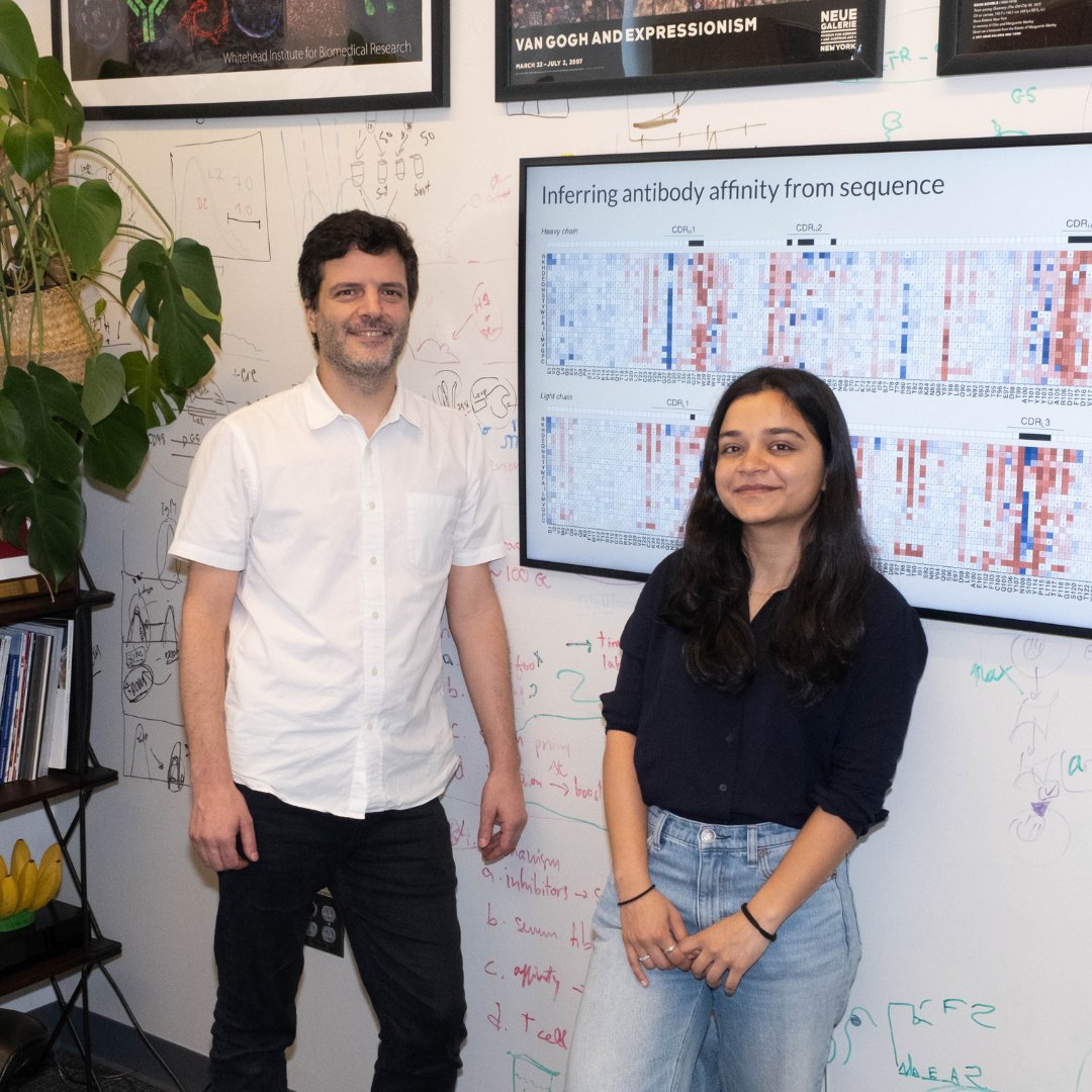 RockefellerUniv's tweet photo. Gabriel Victora's team at Rockefeller has turned germinal centers into a living laboratory for one of biology's oldest questions: how much of #evolution is shaped by chance?

Learn more in this Q&amp;A with Victora and graduate fellow Ashni Vora: https://t.co/E44LFMgEqC https://t.co/DQG4gmwlFO