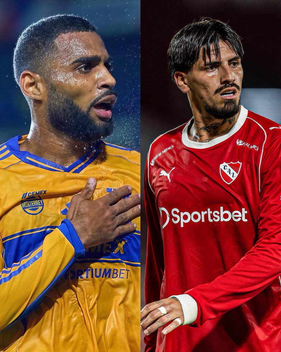 tigresfootball_'s tweet photo. Si llega a ser cierto y logran juntar a Joaquim y Lomonaco tendríamos la mejor defensa en años. Lo firmo con los ojos cerrados. https://t.co/Y24fRaXWk7