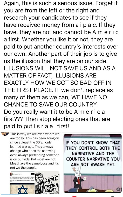 kimmyann1111's tweet photo. @Press4BC #Michigan please don't be fooled. If we don't replace as many of the a i p a c owned ones as we can, we will no chance of saving our country. https://t.co/Qkii1RTH7n