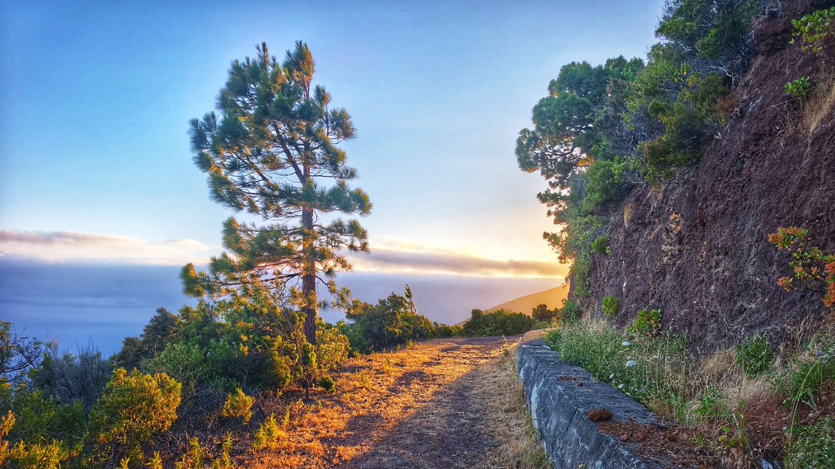 Radio_Luz_'s tweet photo. Villa de #Garafía 🌿✨ #LoNatural 🪻🐦 #LaPalma [📸 Daina Sgobino] https://t.co/LQYp1mbIsi