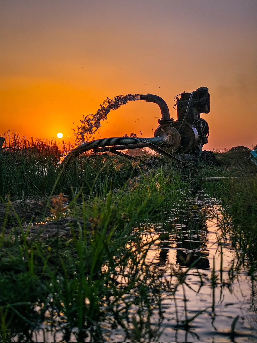 Naturehacker20's tweet photo. Village Sunset Photo's Shot On Vivo V50 @Vivo_India #ShotOnSnapdragon @Snapdragon @Snapdragon_IN https://t.co/Hql0Zc5jqE