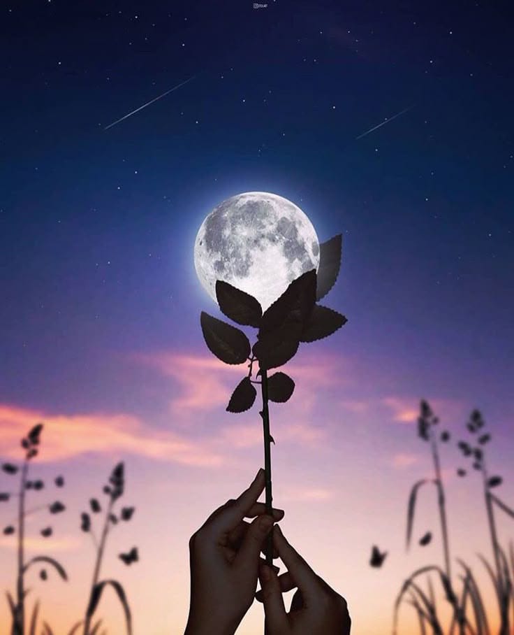 Moon tweet media