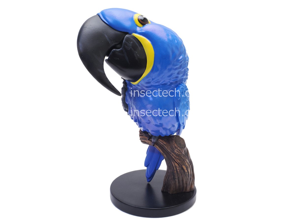 insectech's tweet photo. 動物の惑星 フィギュア

スミレコンゴウインコ

お求めは弊社まで
*2026年8月1日(土)より価格改定

Animal Heavenly Body
AHB Figure Figurine
Authorized retailer &amp; ship worldwide! https://t.co/MfD6NVcXEe