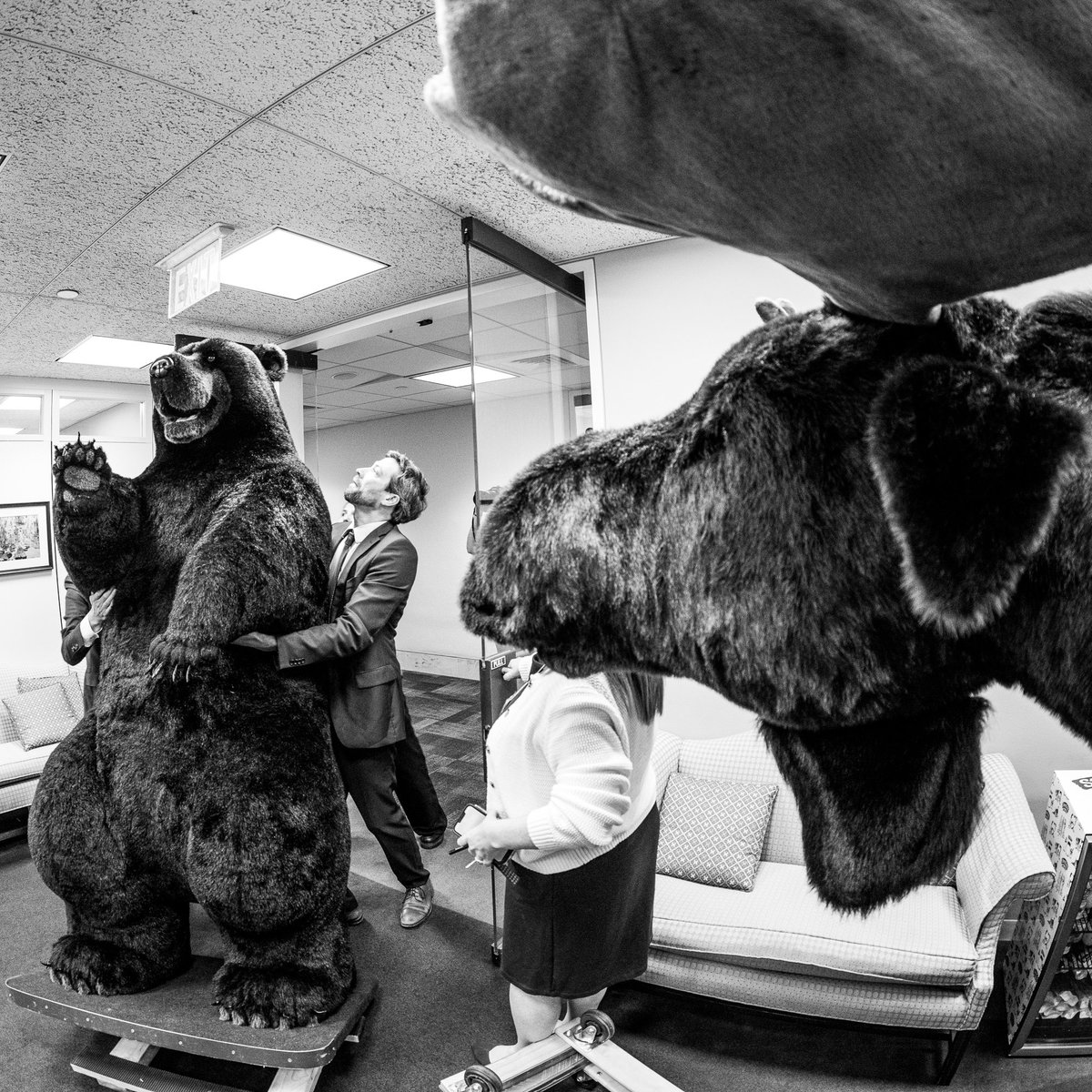billclarkphotos's tweet photo. Marty the Moose and Kodak the Bear arrive in @SenatorShaheen’s office in preparation for tomorrow’s Experience New Hampshire event on Capitol Hill. https://t.co/ShfKVpnMET