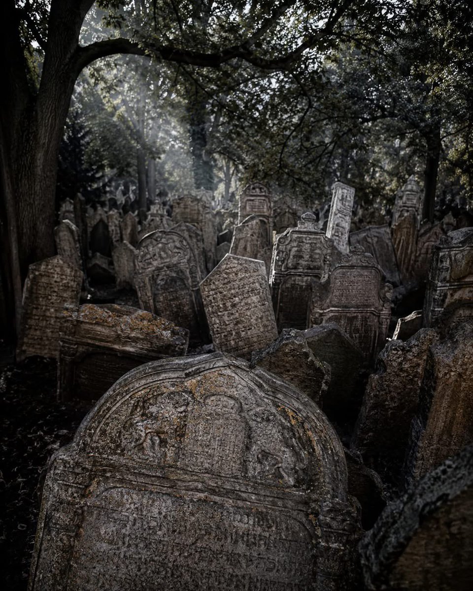 roitele1's tweet photo. 🪨 En el corazón del antiguo barrio judío de Praga, hay un cementerio donde los muertos fueron enterrados doce capas de profundidad. No porque nadie lo quisiera así, sino porque durante siglos, este fue el único terreno en el que se permitió enterrar a sus muertos a la comunidad judía.

El antiguo cementerio judío de Praga es uno de los lugares más extraordinarios del mundo judío. 

Desde el siglo XIII en adelante, a medida que la comunidad judía de Praga creció y los límites de su cementerio permitido nunca lo hicieron, no tuvieron más remedio que enterrar generación tras generación en la misma pequeña parcela de tierra, una capa debajo de la siguiente. El resultado es un lugar diferente a cualquier otro lugar de la tierra: aproximadamente doce mil lápidas visibles abarrotadas en menos de un acre, cada una presionada contra la siguiente, inclinándose y hundiéndose en cada ángulo, extendiéndose hacia atrás a través del tiempo en un solo acre comprimido y sagrado. Las piedras llevan los símbolos de la gente debajo de ellas, leones para Judá, manos para la clase sacerdotal, tijeras para sastres, libros para eruditos. Una civilización entera en piedra caliza tallada. ✡️

El cementerio fue cerrado en 1787 cuando finalmente se permitió a los judíos enterrar a sus muertos fuera de sus muros. Pero sigue siendo exactamente como estaba, intacto y sin prisa, uno de los lugares históricos judíos más visitados en el mundo.