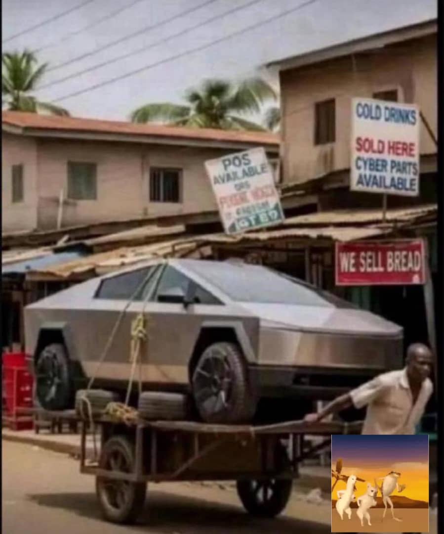 Jo Pips tweet media