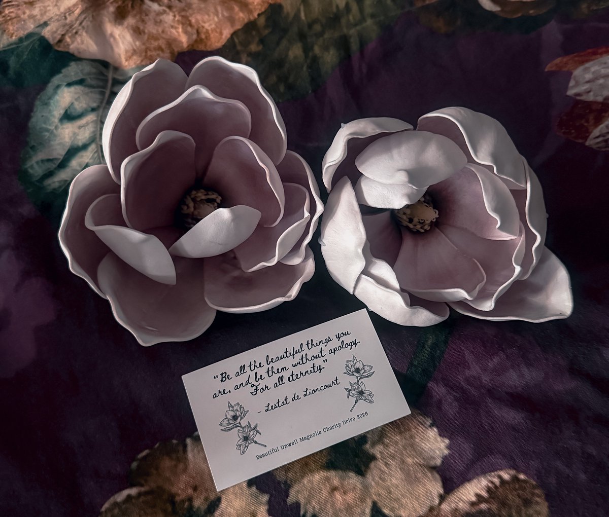 blackshowcase's tweet photo. Ich habe zwei Magnolien von Armands Magnolienbaum vom IWTV-Filmset bekommen, ich bin soooo happy 👐🏻 https://t.co/RtXH6SYpA0