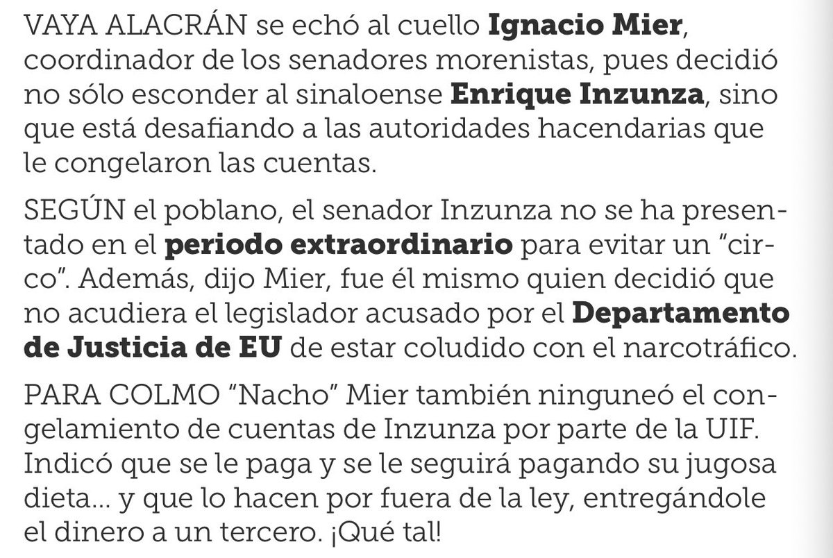 AlexItesm's tweet photo. COBRAR SIN TRABAJAR, OTRO PRIVILEGIO DE LA 4T

VAYA ALACRÁN se echó al cuello Ignacio Mier, pues decidió no sólo esconder a Enrique Inzunza, sino que está desafiando a las autoridades hacendarias que le congelaron las cuentas

SEGÚN él, el senador Inzunza no se ha presentado en el periodo extraordinario para evitar un "circo". Además, dijo Mier, fue él mismo quien decidió que no acudiera el legislador acusado por el Departamento de Justicia de EU de estar coludido con el narcotráfico.

PARA COLMO "Nacho" Mier también ninguneó el congelamiento de cuentas de Inzunza por parte de la UIF. Indicó que se le paga y se le seguirá pagando su jugosa dieta... y que lo hacen por fuera de la ley, entregándole el dinero a un tercero