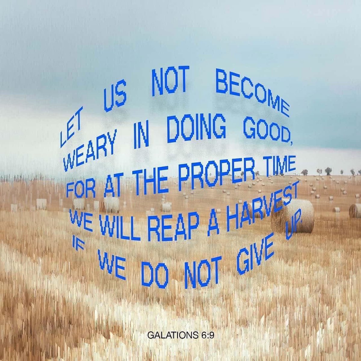 lpowell18p's tweet photo. https://t.co/mJDT4e4MX9