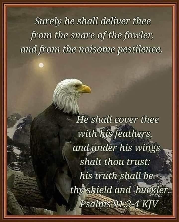 lpowell18p's tweet photo. https://t.co/zgqYV5ABa8