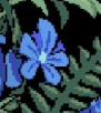 kurisukt's tweet photo. THE FLOWER CALLED
"DON'T FORGET" https://t.co/R3tJaeT450
