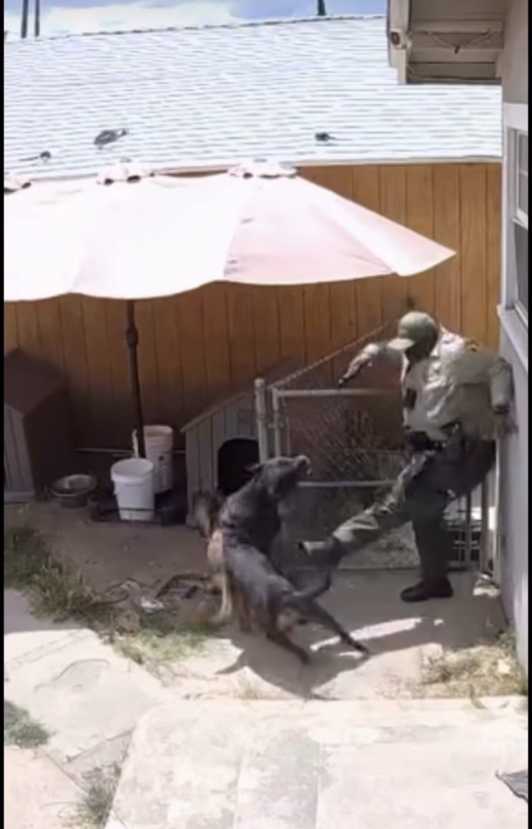 taurus_1987_'s tweet photo. @sbcountysheriff https://t.co/wF8DJ61sI3