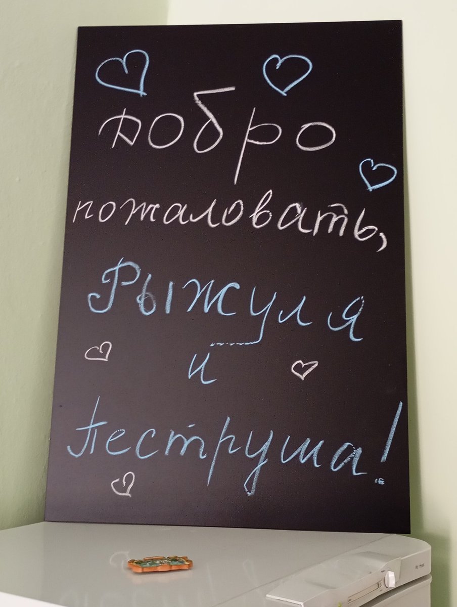 Stupid_ezh's tweet photo. Это, кстати, мои первые постояльцы: Пеструшка и Рыж.

Котик — старший брат моих Аризоны и Тима, от той же мамки, с помоек Петергофа.
Хочу переименовать его в Тыковку. Как обживётся, будем искать ему мам-пап. https://t.co/U4jCIutDMs