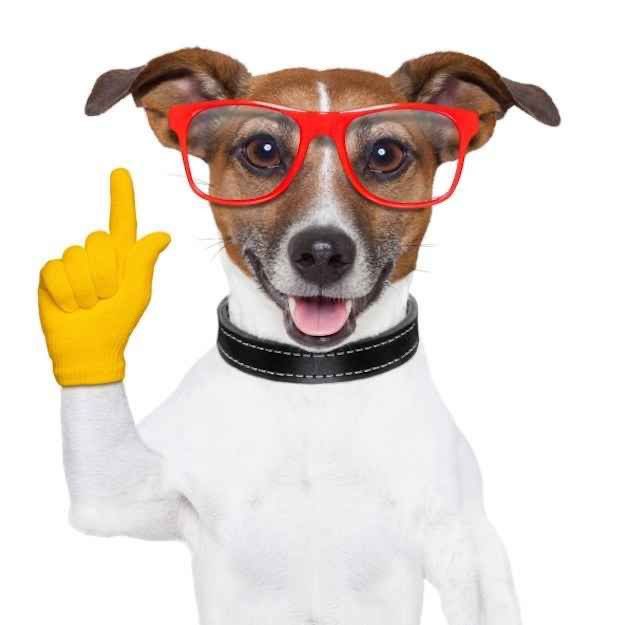 ALapro21's tweet photo. Yo hoy en mi exposición ☝️🤓 https://t.co/yqYR8kBxiY