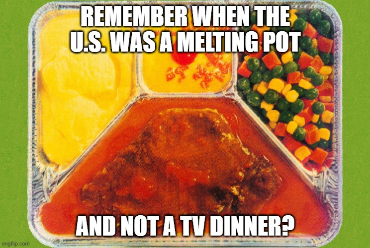 TFO4real's tweet photo. @RealJamesWoods Someone turned off the stove for the melting pot. https://t.co/poADmWqr81