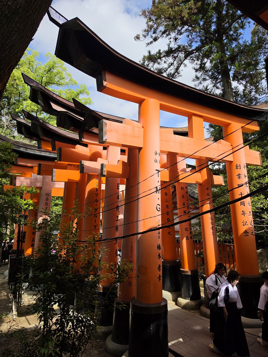 JulienNgh's tweet photo. Kyoto ⛩️ https://t.co/Pk1ecRctcH