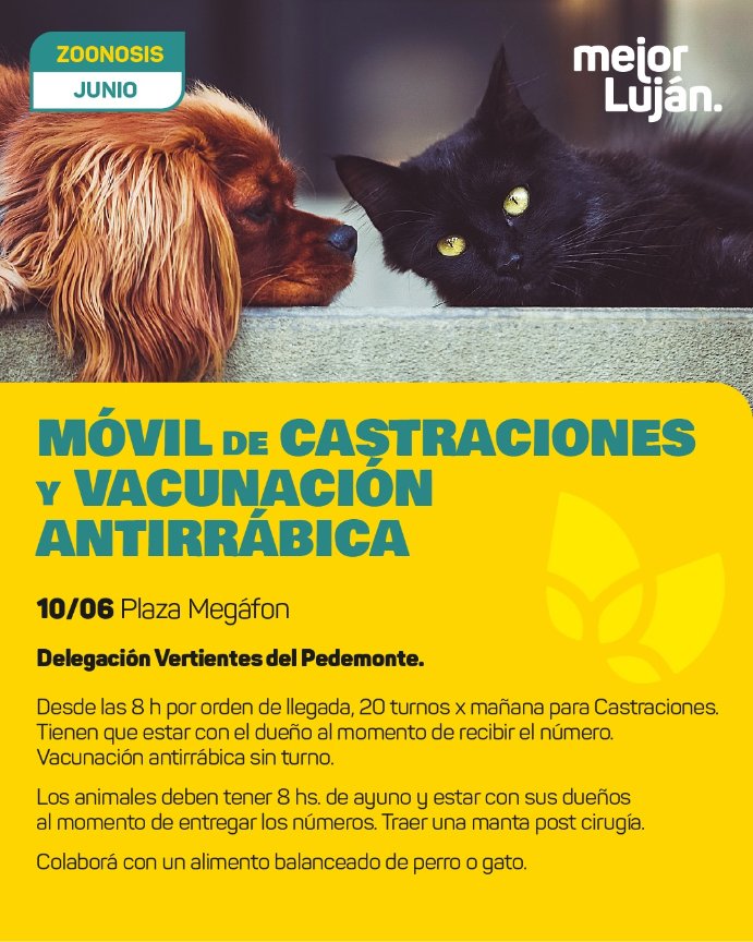 Coord_Pedemonte's tweet photo. Zoonosis I Vertinentes del Pedemonte.

📅 10/06 Placita de Martin B° Megafon | desde las 8 h
🎈 Calle Isla Bornbon y Batalla Pradera del Ganso.

👉 20 turnos de castración por orden de llegada
👉 Vacunación antirrábica sin turno.

 sigue 👇 https://t.co/WAq8cxrjCQ