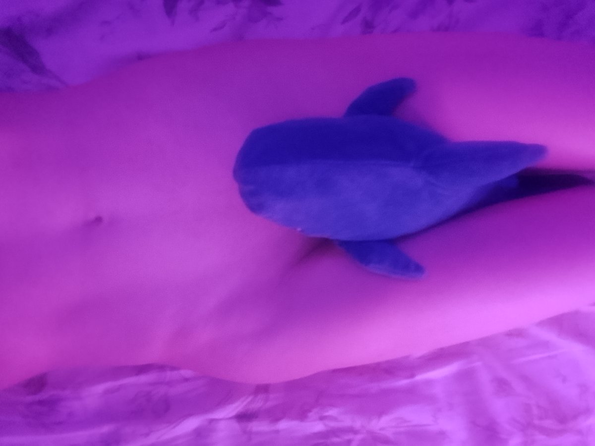 kirashaasha's tweet photo. shork🦈

#femboy #blahaj #shork https://t.co/6hHUSGpOdE