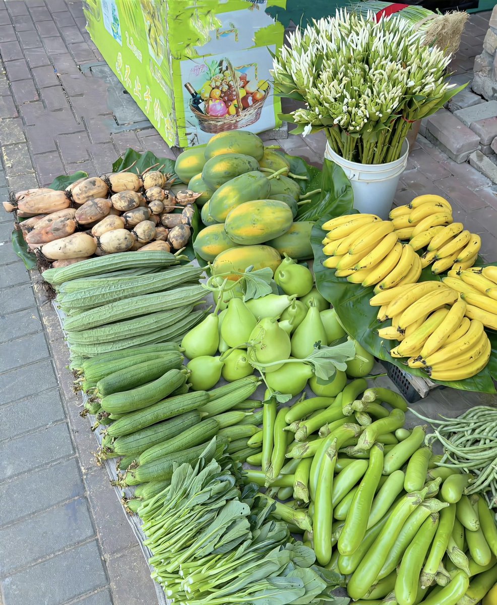 MzSissyBoo's tweet photo. Stock up on fresh, crisp veggies, tender free-range eggs u0026 premium whole-grain bread this weekend—local farmers market has all your staple ingredients at unbeatable prices! Don’t miss out! https://t.co/EmbCglvBph
