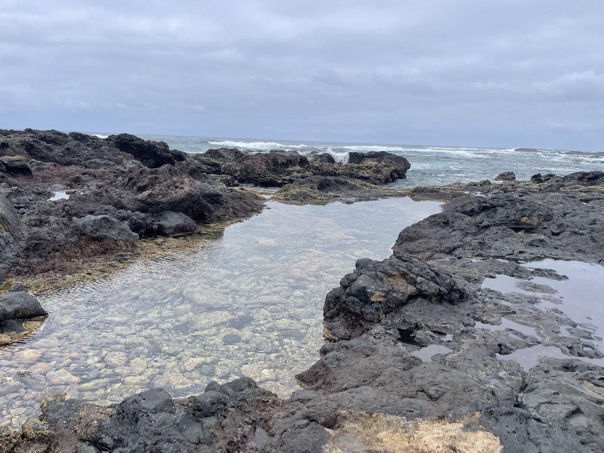 EntrePosts's tweet photo. Cielo cubierto por nubes bajas de evolución retenidas por el viento alisio.
Están dejando precipitaciones débiles en forma de llovizna. https://t.co/UcLami4VYA