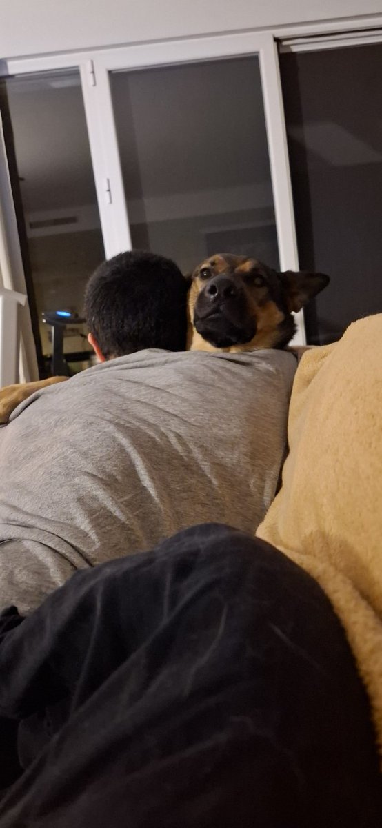 dvento's tweet photo. this is me, hugging my dog on the sofa.
the pic was taken by my gf https://t.co/Y1M97g7F5K