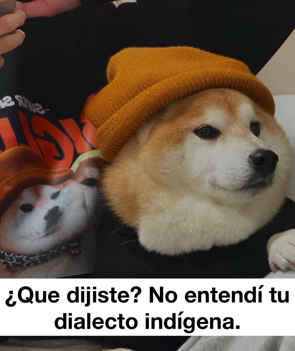Omar Garfito tweet media