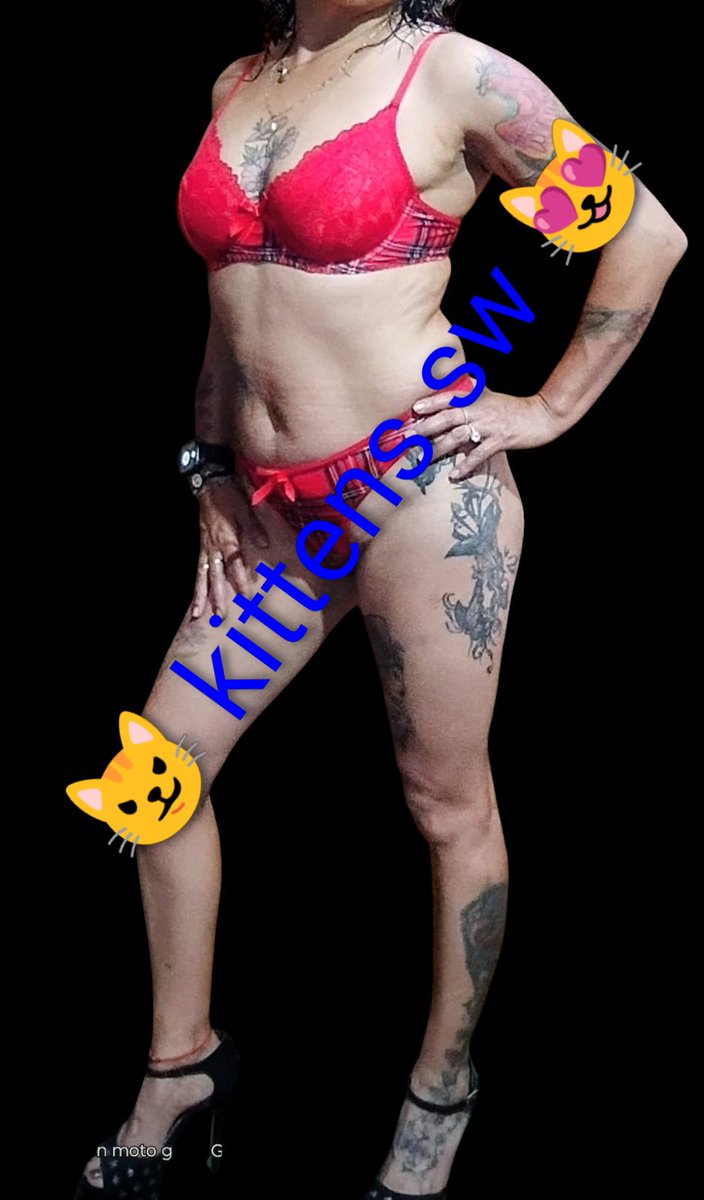 😼 kittens sw😻 tweet media