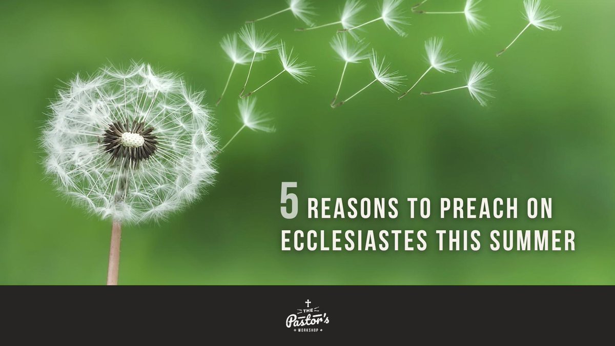 thepastorswork's tweet photo. When is the last time your church had a sermon from Ecclesiastes?

In a culture that increasingly says "All is meaningless," this overlooked book holds more for the pulpit than most realize.

Our blog gives 5 reasons to preach on it.

https://t.co/LKwKNTdCZS

#ThePastorsWorkshop https://t.co/cq29JTkjy9