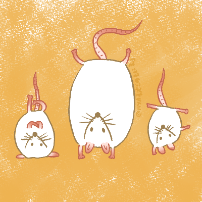 monimau_20's tweet photo. 逆立ちもにまう https://t.co/6rxuagaNLk