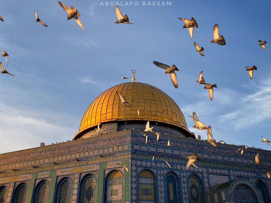 aseelswaid9's tweet photo. The Beauty of Al-Quds, Palestine. https://t.co/VHuAMNc0vs