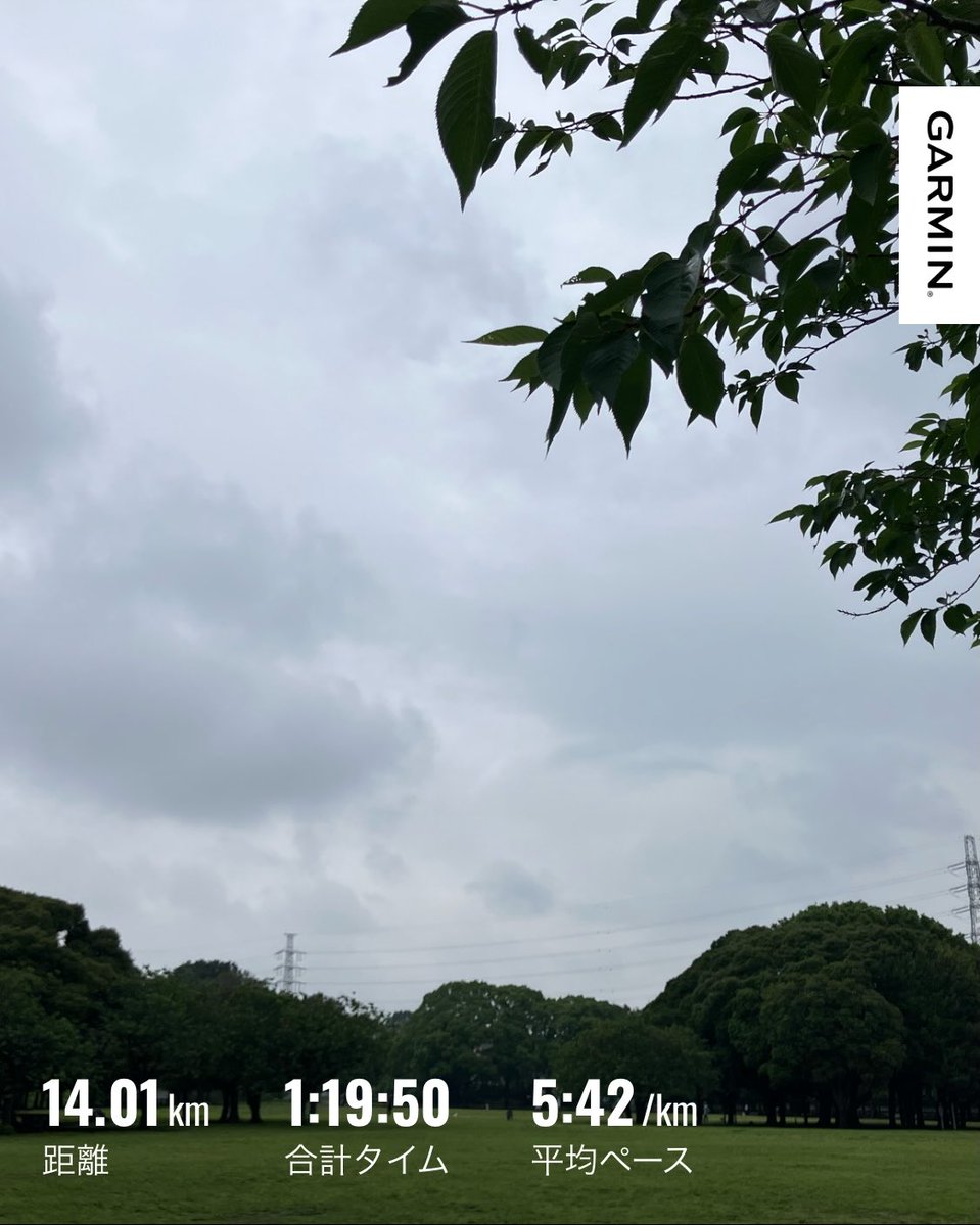 go_runner300's tweet photo. 平均心拍141。梅雨に入り朝走れない日が増えそうです。走行距離が絶対では無いですが、走った距離は嘘をつかないのも事実。走れる日数が減りそうなので、一回の走る距離を伸ばさないと走行距離が落ちそうです⤵️    工夫しないといけないですね🤔

#朝ラン https://t.co/hqKeVNIRsn