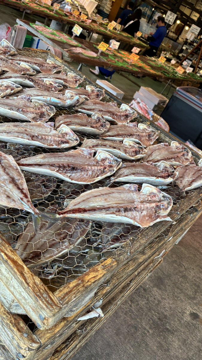 toshitoshi2425's tweet photo. 沼津港でお土産を買いに行って来ました🛒🐟🦪🐟🦀🦐🦞#沼津港 #お土産 #干物 #静岡県 #元競輪選手 #博徒 #byろくでなし https://t.co/ADN6MqkxPp