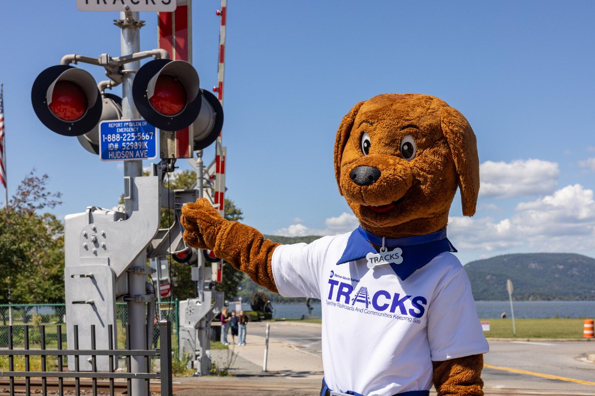 MetroNorth's tweet photo. It's International Level Crossing Awareness Day (ILCAD)! For your safety, never attempt to beat a train—it could cost you your life!

When at a crossing, always remember to:
✅ Stand at least 15 feet away.
✅ Wait until the gates are completely raised, and the lights stop flashing.
✅ Look both ways before walking through.