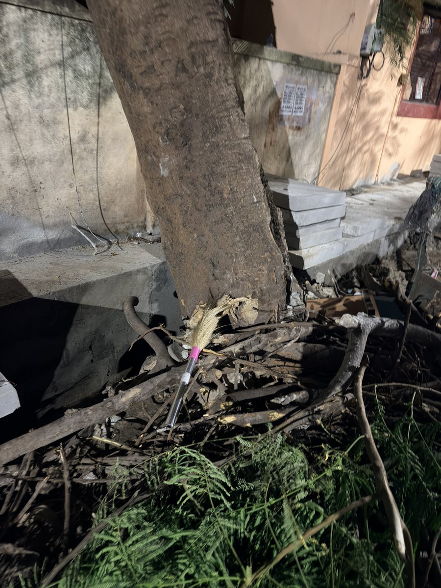 sauravslcu's tweet photo. Old trees were cut down at Annaiah Reddy Rd, Ulsoor, Bangalore in the name of drain cleaning. They provided shade, reduced heat. These trees used to protect animals and humans from the summer heat. Now it’s gone. @GBA_office @GBAChiefComm
#SaveTrees #ClimateAction https://t.co/6oPGQoBalM