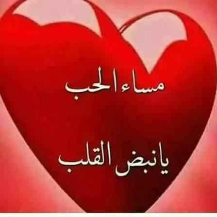 RamdanMoha18331's tweet photo. @rim_felanni @Rim_rim_woe أكيد قلبى . https://t.co/AiGjCSNS0T