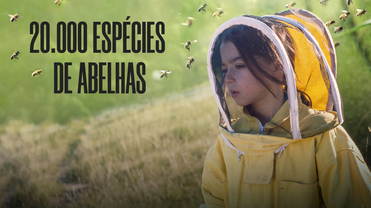 thiagobarata87's tweet photo. 4 filmes maravilhosos que chegaram totalmente de graça no Sesc Digital. 

Eu adoro esses 4 filmes... https://t.co/5IllZhALAZ