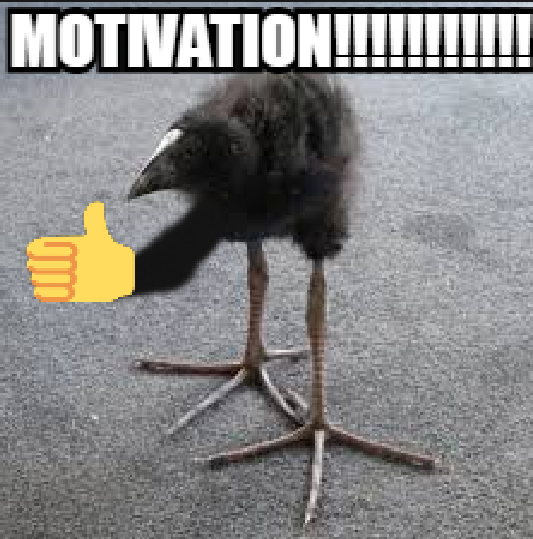 VandalizedGD's tweet photo. @nocontextmemes https://t.co/g0NcaNl7AJ