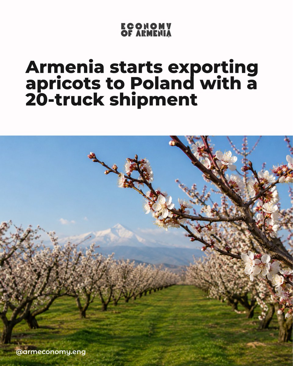 economyarm's tweet photo. Armenian apricots enter the Polish market: 20 trucks planned for dispatch in June 🇵🇱🇦🇲 https://t.co/ktNGmXDNJr