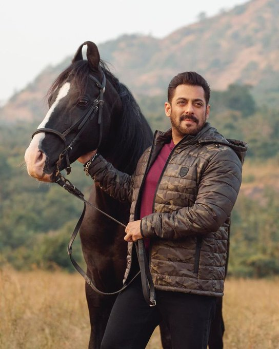 Cinema_Decoded's tweet photo. Theatres + Salman Khan entry = Goosebumps guaranteed. 🔥🍿

#SalmanKhan https://t.co/ELhTENJI99