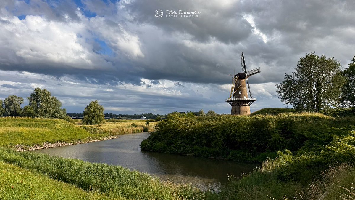ByEstrella's tweet photo. Vanavond nog ruim tweeënhalve kilometer gelopen, in de hoop mijn angst en onrust wat te verminderen. In totaal ruim 11,5 km gelopen vandaag en nog altijd niet moe. Vanavond nog wat foto's van #molen 'De Hoop' in #Gorinchem gemaakt. https://t.co/6pTJ1kC8gG