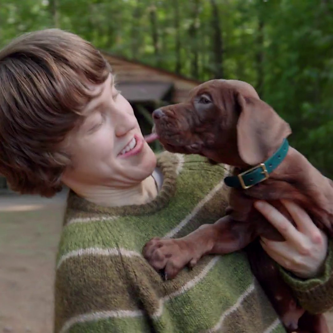 moovsny's tweet photo. Anyone who hates this innocent little boy can rot in hell. https://t.co/HG7l5VPfsZ