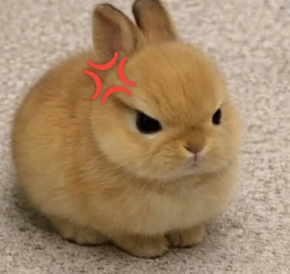 🥥n' tweet media