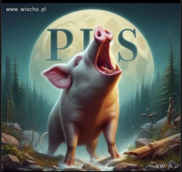 ufo577's tweet photo. @mwojcik_ @mwojcik_ uwielbiam to twoje wycie pisowski knurze😂😂😂 https://t.co/E6swunI8r6